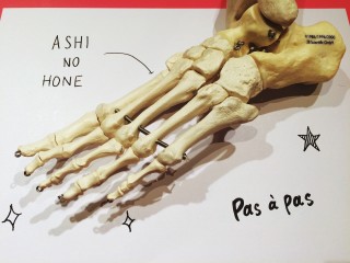 ashinohone1